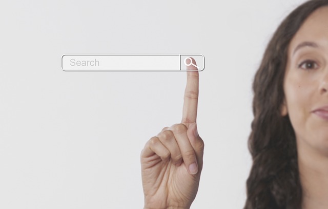 affordable local search optimisation