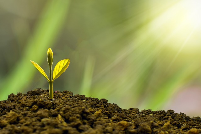 growth tips
